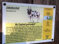 2018-06 WEB Titelfoto Tierpark Birkenfeld