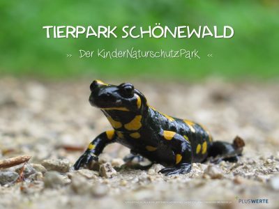 WEB 118 - Titelbild Studie Tierpark Birkenfeld