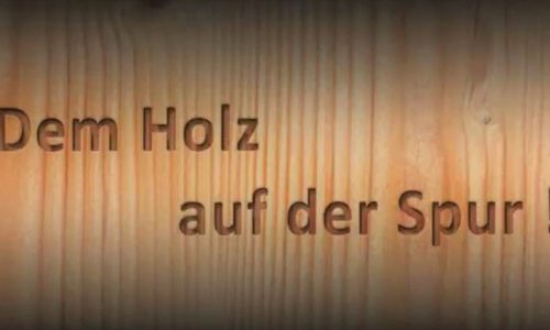 WEB 43 - Titelblatt des Films - Dem Holz auf der Spur